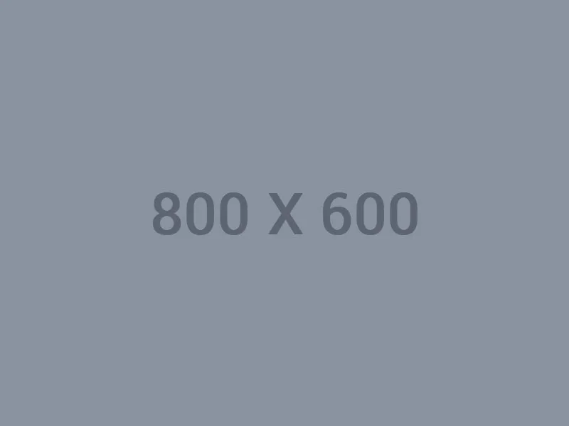 2026世界杯chengxin