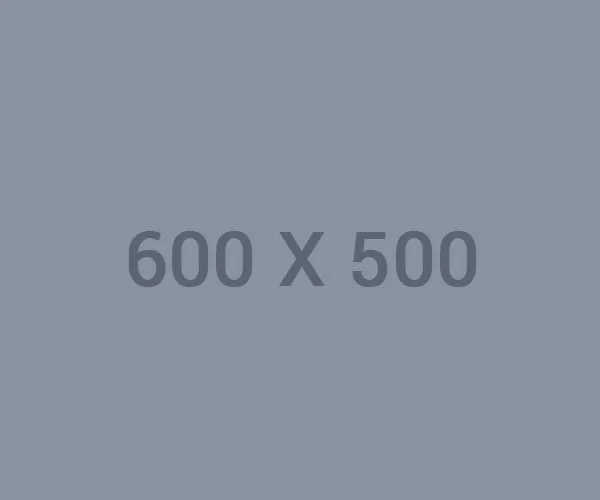 2026世界杯chengxin